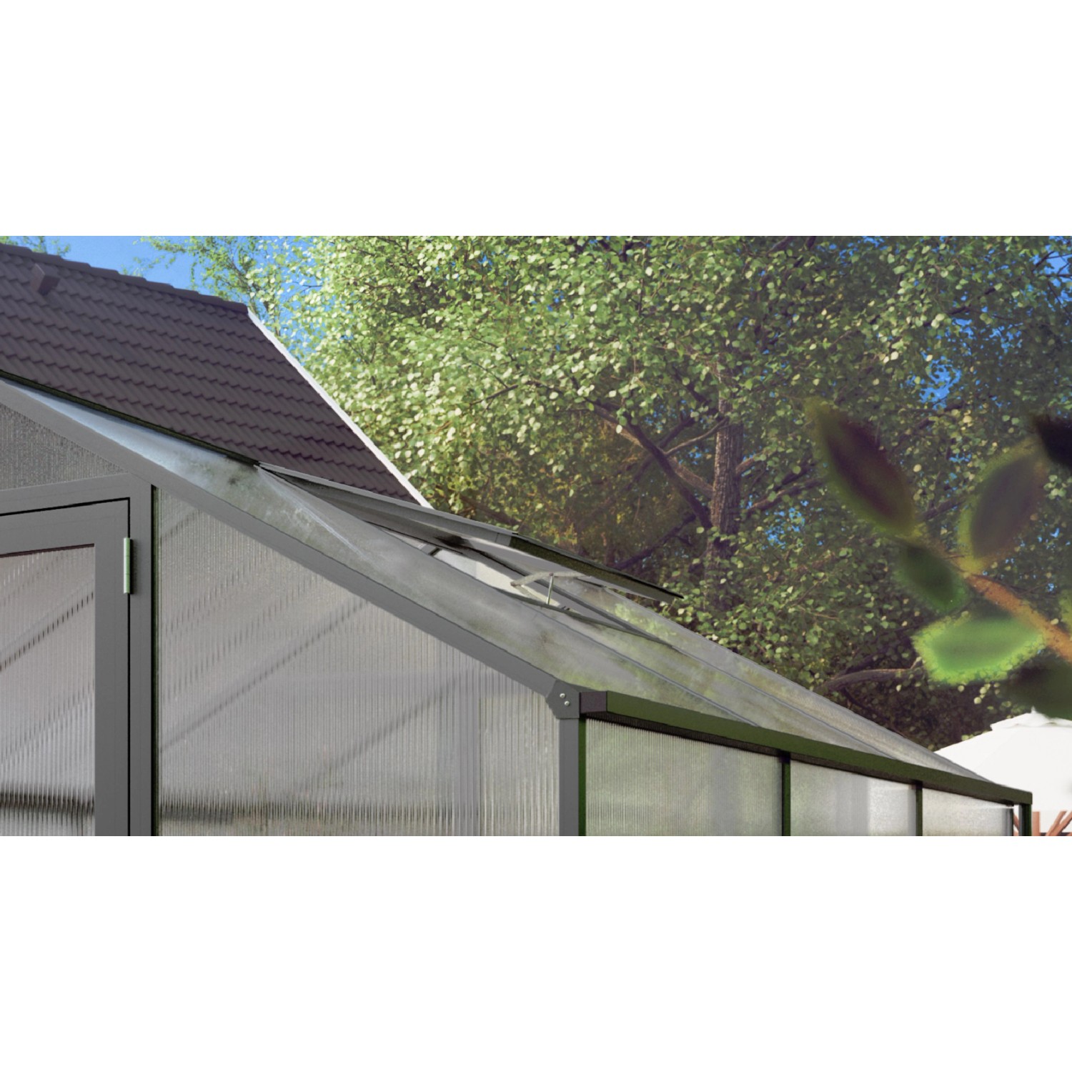 KGT zusätzliches Dachfenster für Gewächshaus Rose/Orchidee/Lilie, Anthrazit-Grau