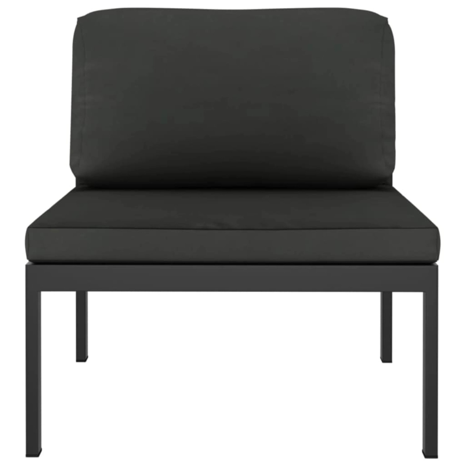 Anthrazitfarbenes 2-Sitzer Gartensofa mit Kissen, Aluminiumrahmen. Gartenmöbel für Terrasse und Balkon.