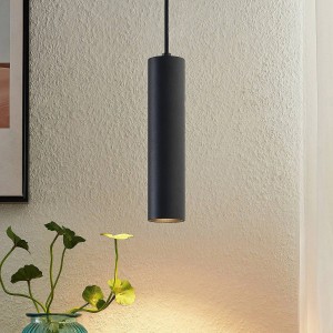 Moderne schwarze PRIOS Pendelleuchte Neliyah aus Metall, zylindrisch, 1-flammig, beleuchtet eine Pflanze.