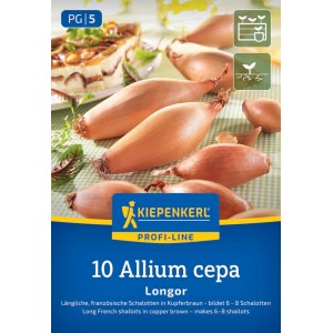 Kiepenkerl Französische Schalotte Longor, Gr. 20/45
