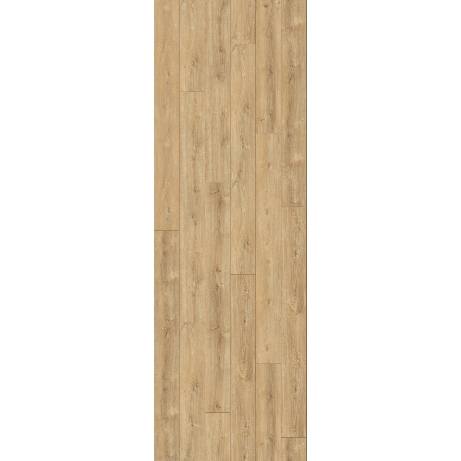 Parador Trendtime 6 Laminat, 9 mm, wasserfest, in heller Holzoptik. Robust und pflegeleicht.