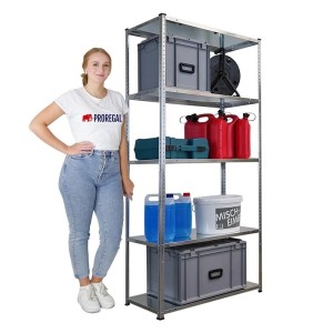 PROREGAL Schraubregal Haldor HxBxT 180x90x40cm 5 Stahlplatten-Ebenen Fachlast 100 kg Verzinkt