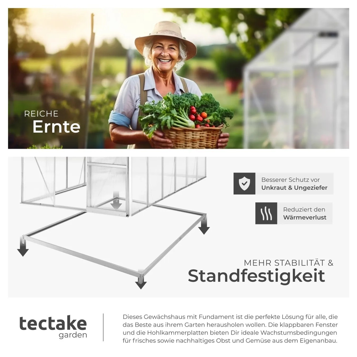 Tectake Gewächshaus mit Fundament, Aluminiumrahmen, transparent, 375x185x195 cm.