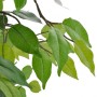 Detailaufnahme eines künstlichen Zwerg-Ficus mit grünen Blättern, Kunstpflanze für Innen und Außen.