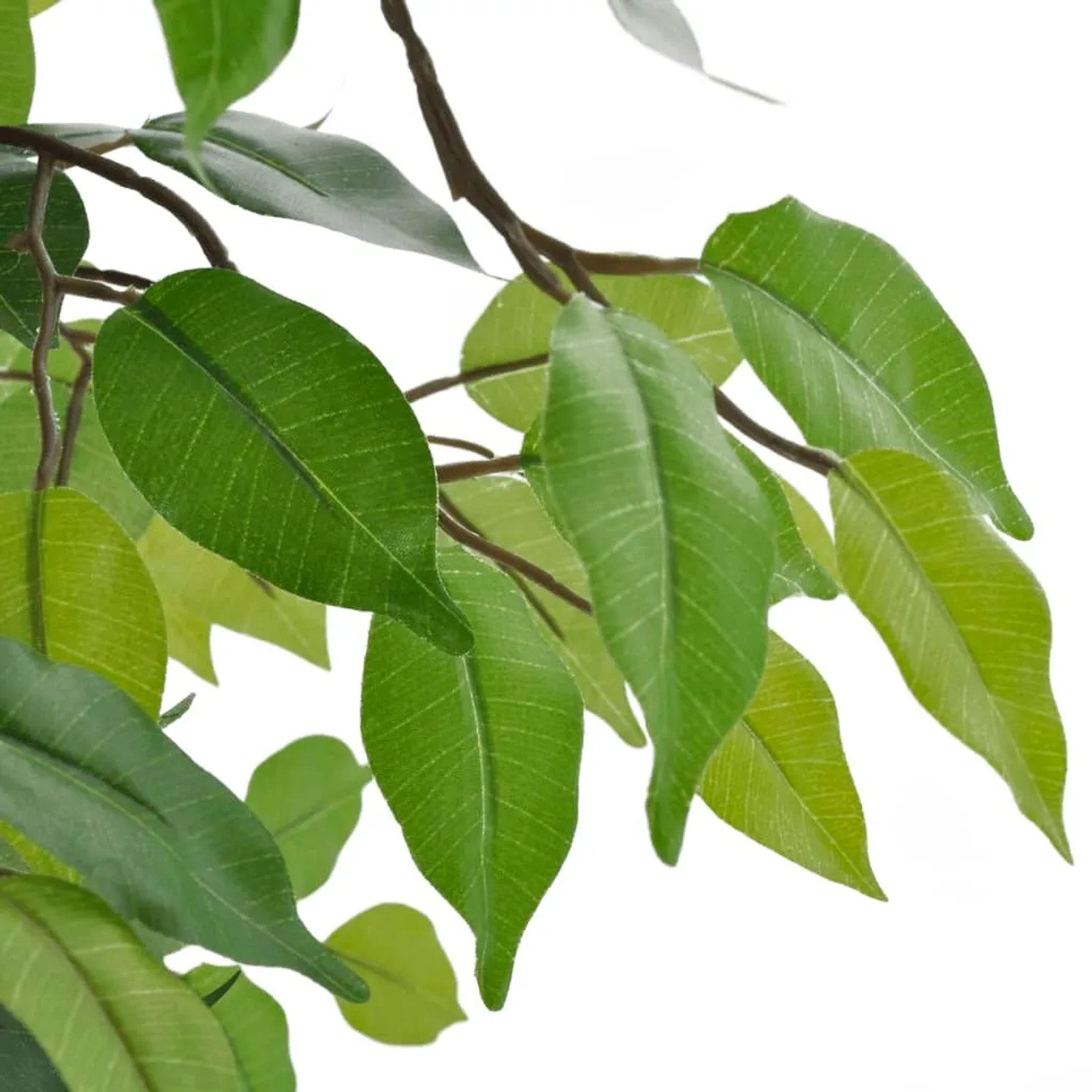 Detailaufnahme eines künstlichen Zwerg-Ficus mit grünen Blättern, Kunstpflanze für Innen und Außen.