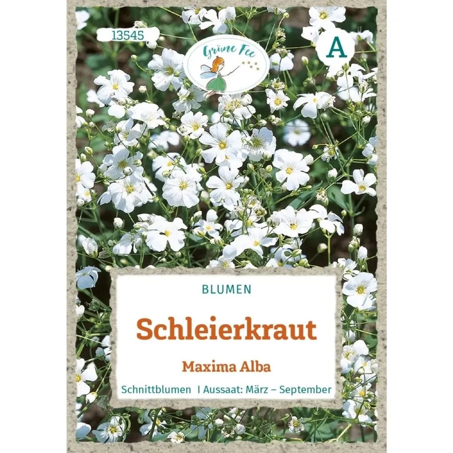 Grüne Fee Schleierkraut Maxima Alba Saatgut