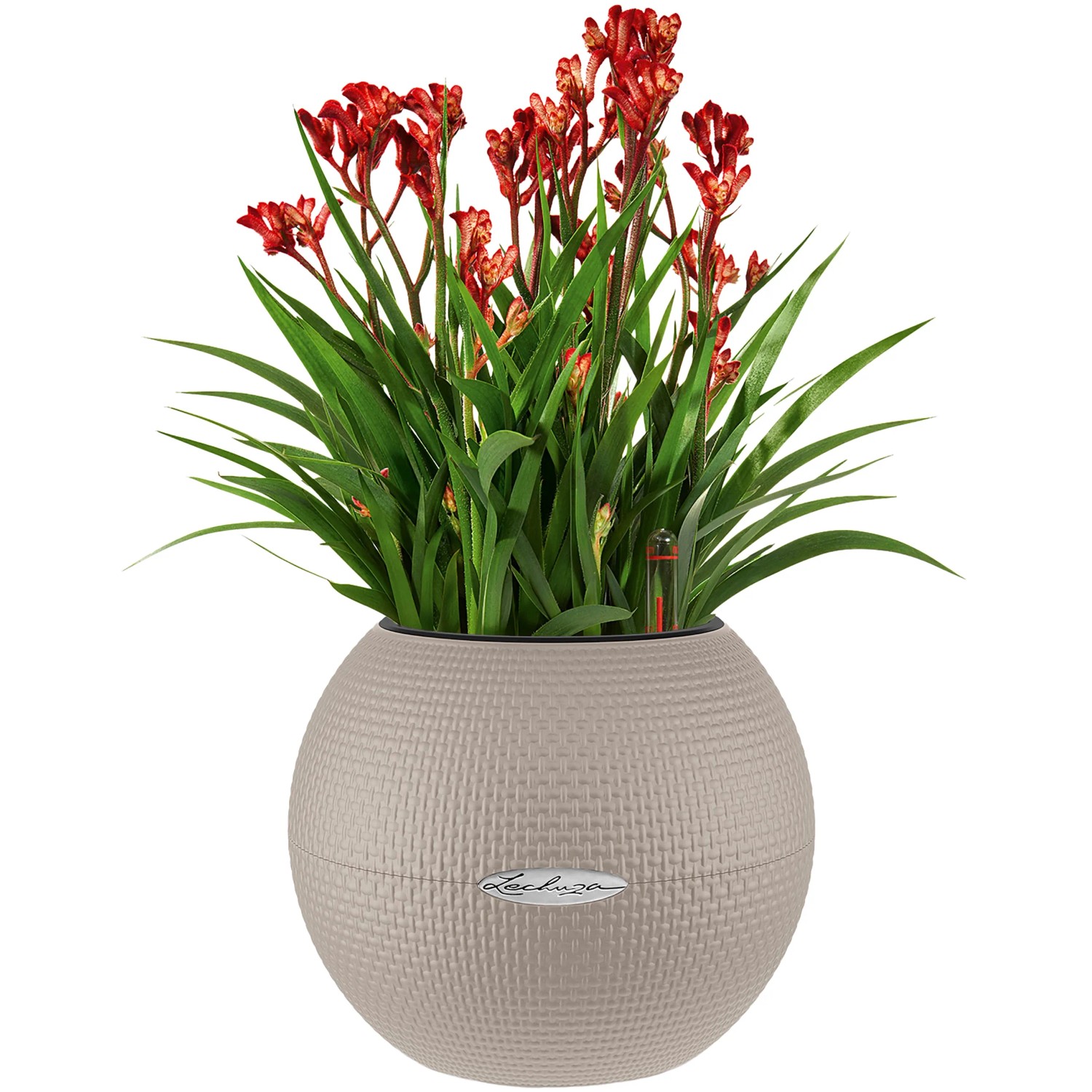 Lechuza Blumentopf m. Bewsserungssystem  20 cm x 16 cm Sandbraun kaufen  bei OBI