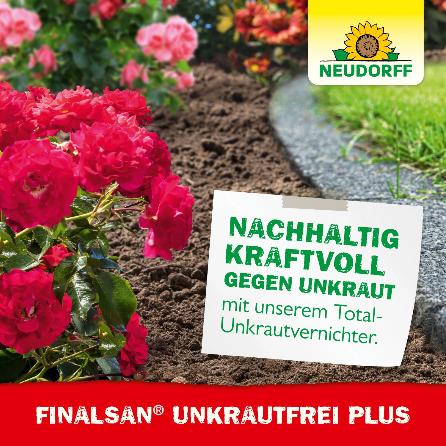 Neudorff Finalsan UnkrautFrei PLUS: Unkrautvernichter für Beete mit Rosen und Hinweisschild.
