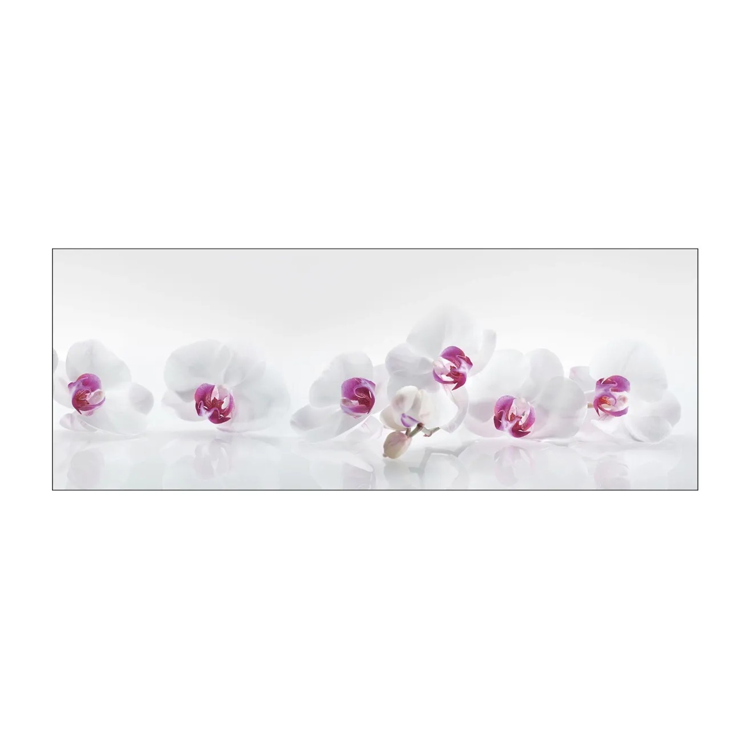 MySpotti Küchenrückwand Profix Cucina Orchidee 160 x 60 cm Lila-Weiß