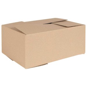 vidaXL Faltbox mit Speicher 50 Stk Natur 35 x 24 x 15 cm Karton 4106569