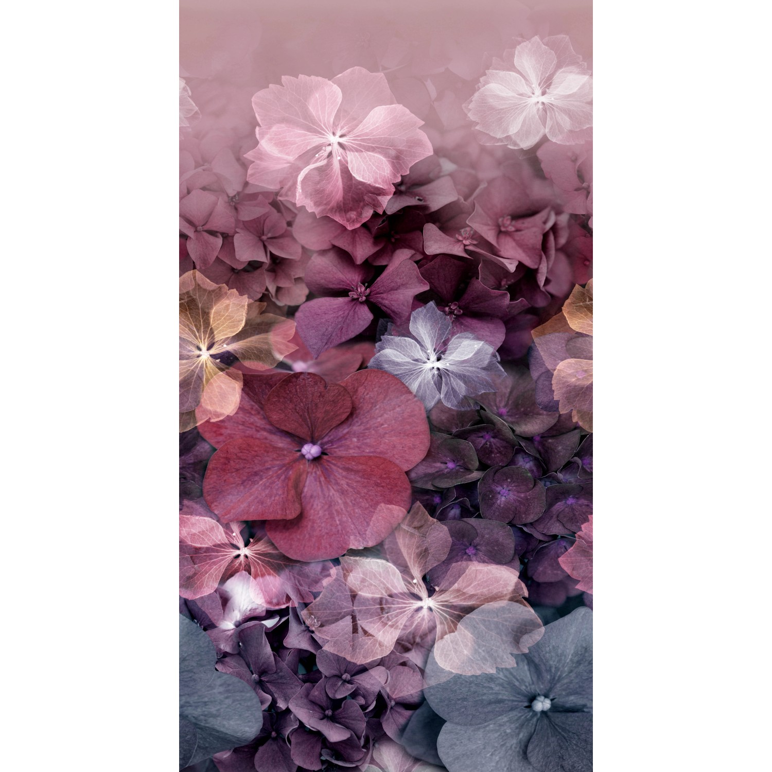 Erismann Fototapete Hydrangea 150 cm x 280 cm Violett günstig online kaufen