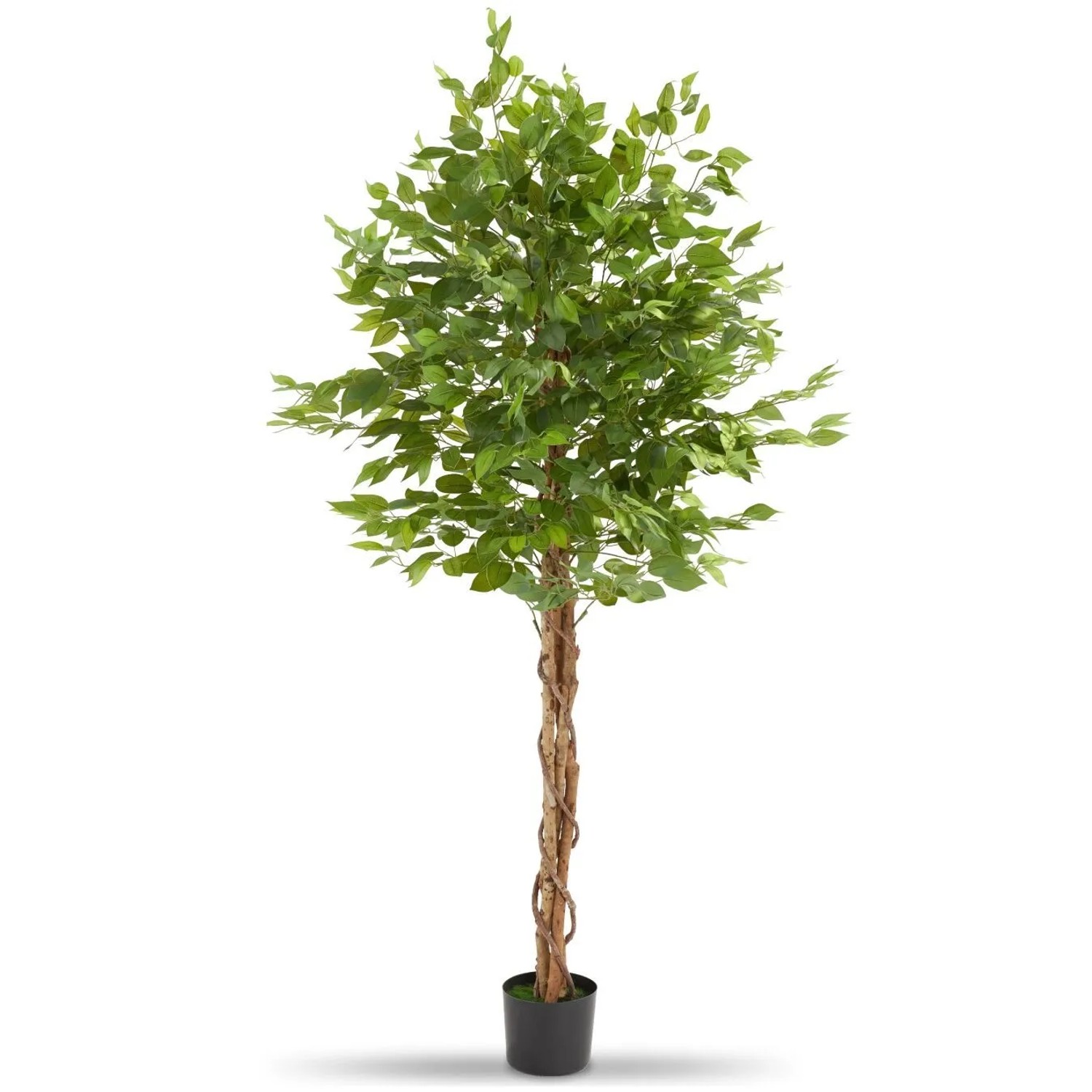 Tectake Künstlicher Ficusbaum Fida Verschiedene Größen Detailliert und Naturgetreu  70 x 70 x 180 cm Grün