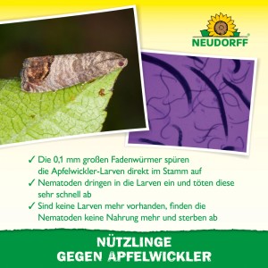 Neudorff Nützlinge gegen Apfelwickler. Motte auf Blatt, Nematoden unter Mikroskop. Effektive Schädlingsbekämpfung.