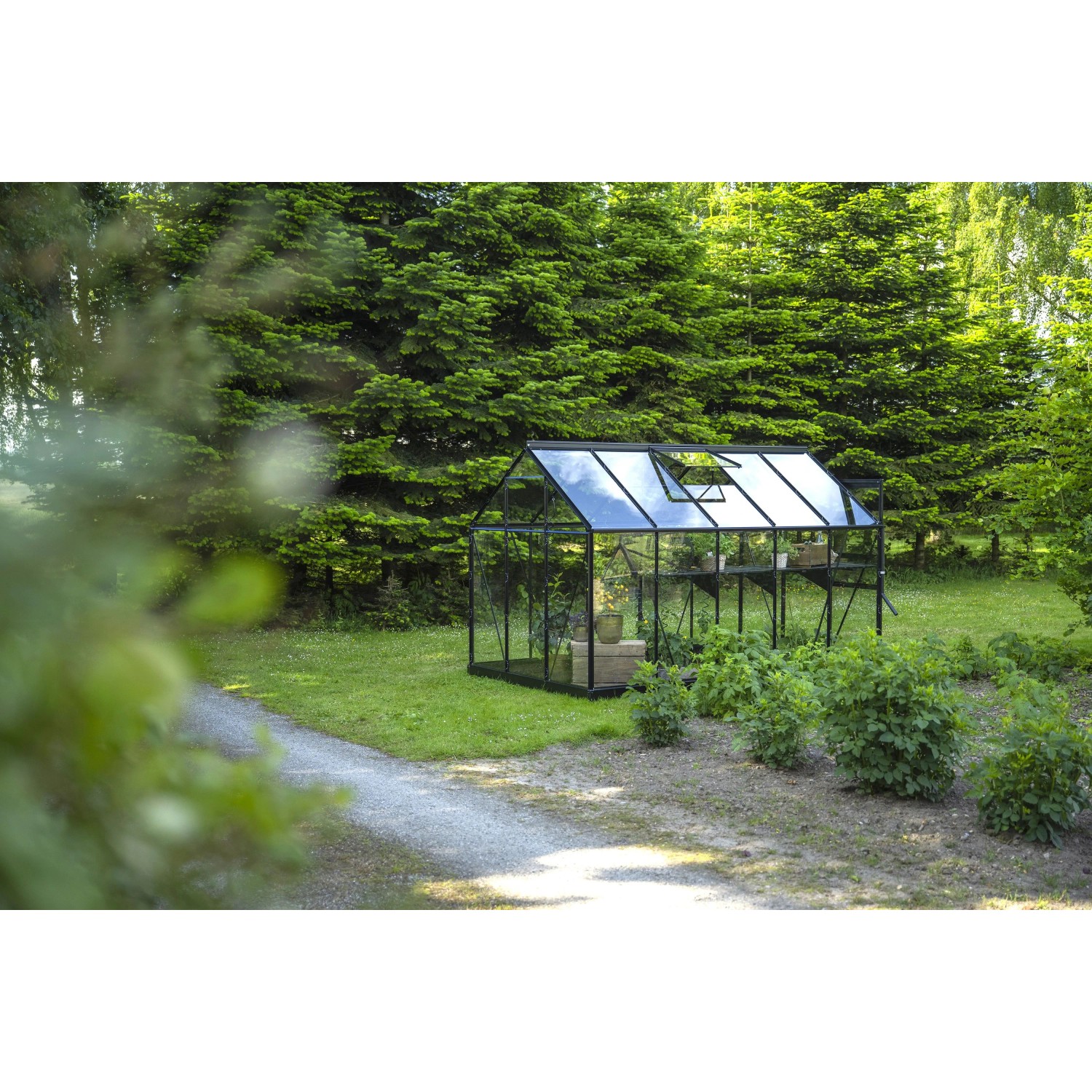 Halls Gewächshaus Popular, 6,2 m², schwarz, mit Dachfenster im Garten.