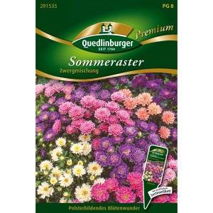 Quedlinburger Sommeraster Zwergmischung Saatgut mit bunten Asternblüten in Rosa, Lila und Weiß.