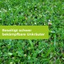 Rasen mit Unkraut, behandelt mit Protect Garden Universal-Rasenunkrautfrei Loredo Quattro.