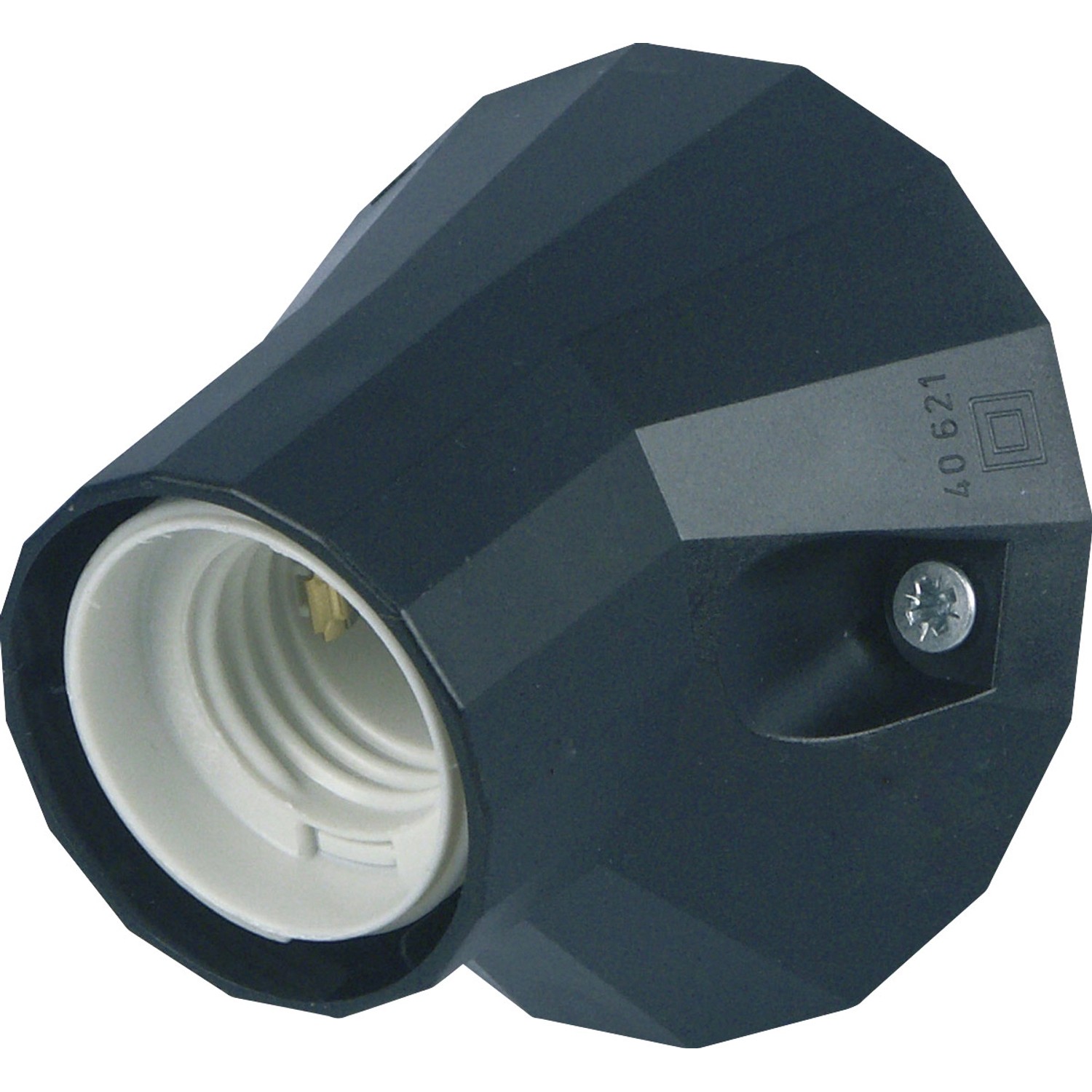 Düwi Wandfassung 100 W Schwarz