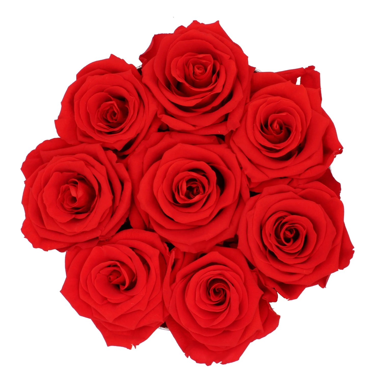 Rosenbox mit 9 roten Rosen und weißer Schleife, Durchmesser 14,5 cm.