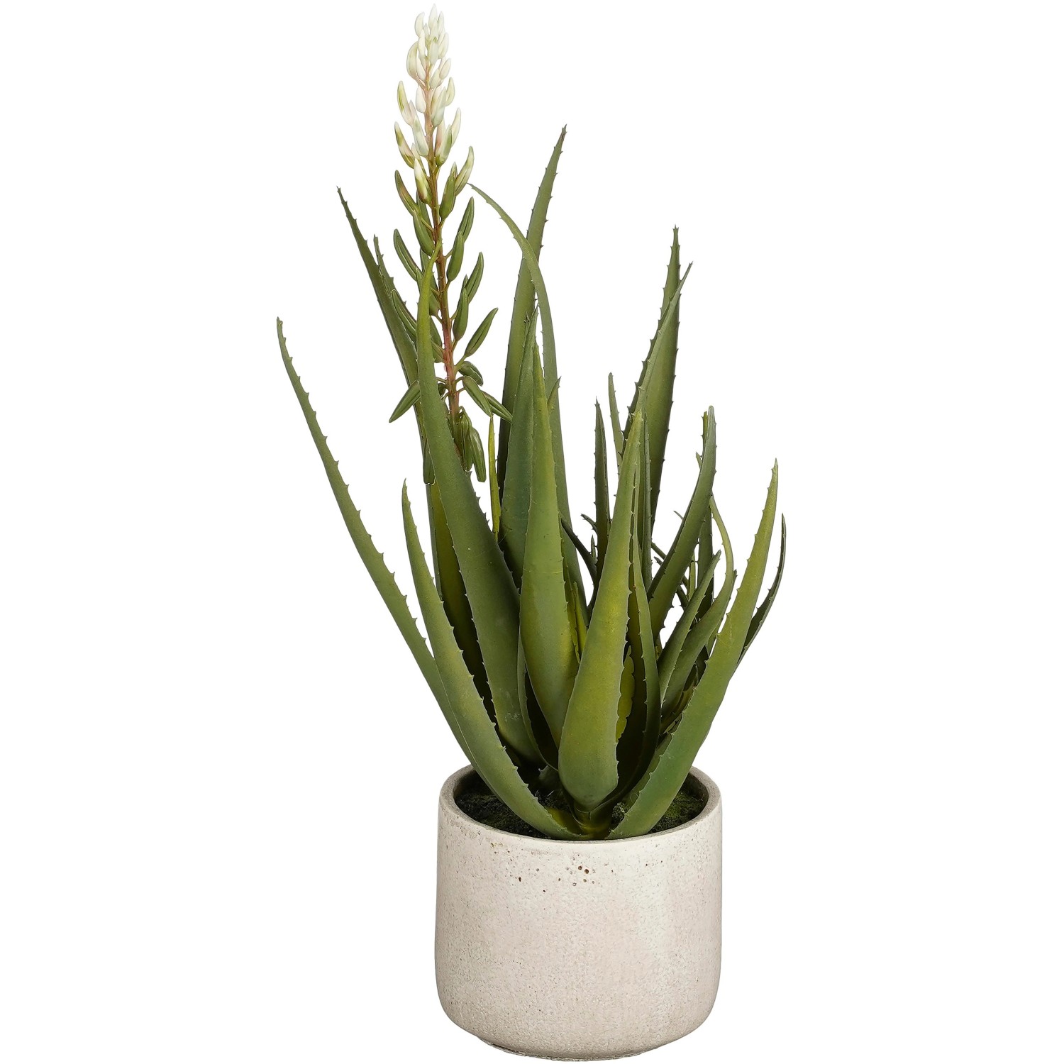 Mica Decorations Aloe Vera Grün Höhe 58 cm Ø 38 cm günstig online kaufen
