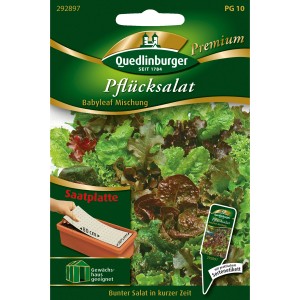 Quedlinburger Pflücksalat Babyleaf Mischung als Saatplatte für Balkonkästen und Beet.