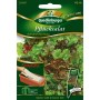 Quedlinburger Pflücksalat Babyleaf Mischung als Saatplatte für Balkonkästen und Beet.