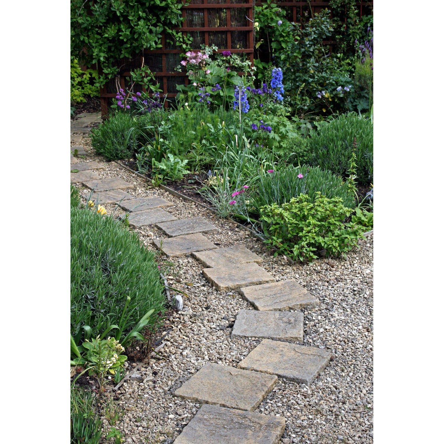 Gartenweg mit Buntkies Rhein (20-40mm) als Zierkies zwischen Steinplatten.