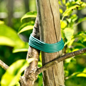 Windhager Kunststoff-Schnur, grün, zur Befestigung von Pflanzen an einem Holzpfahl.