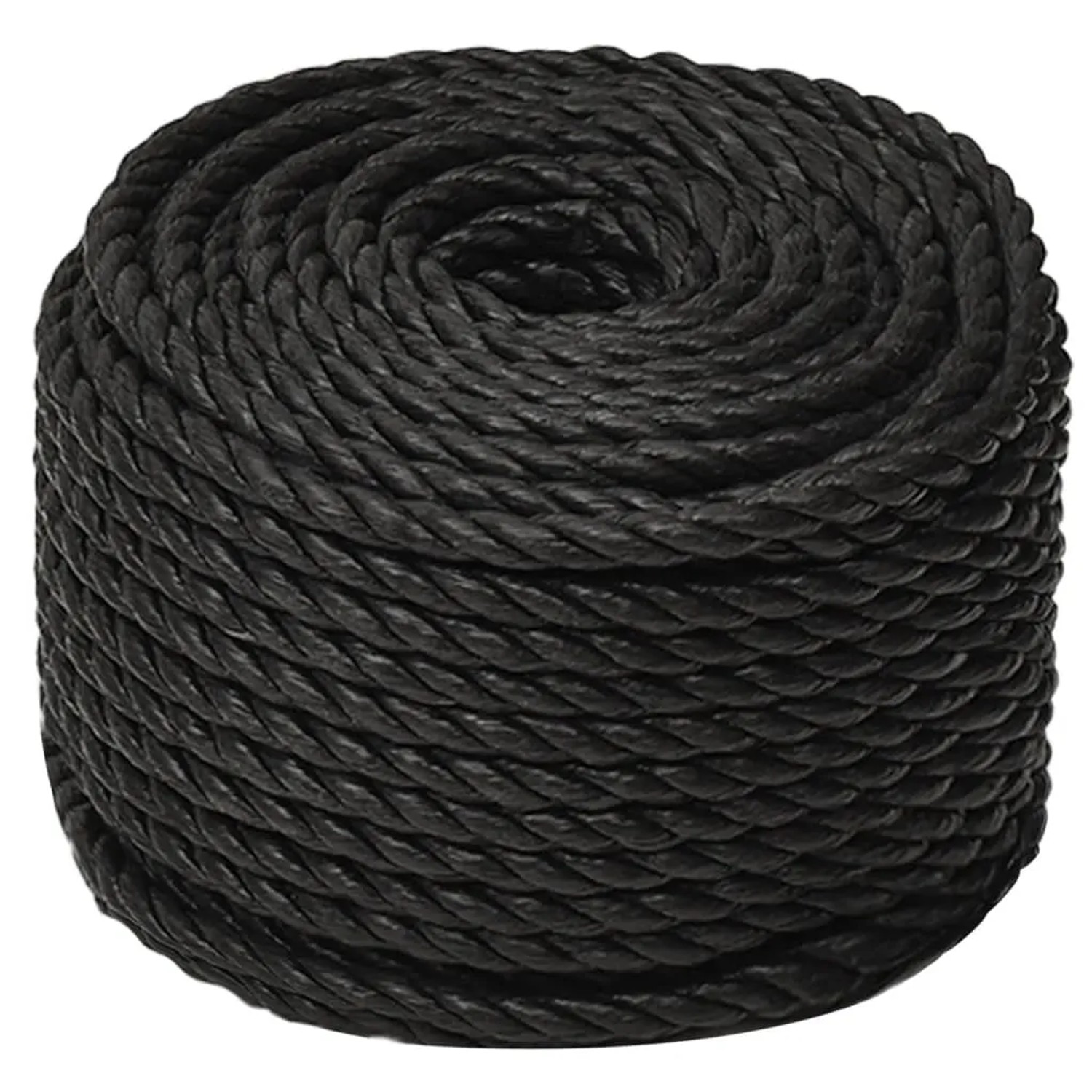 vidaXL Arbeitsseil Schwarz 10 mm 100 m Polypropylen 153013