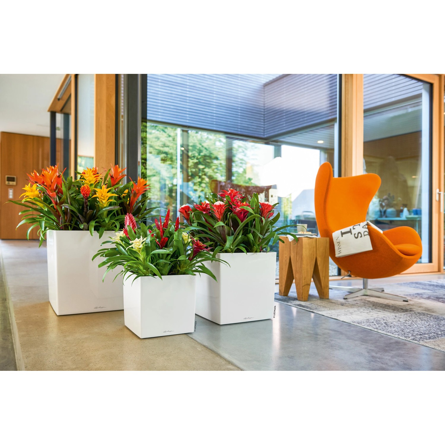 Weiße Lechuza Cube Premium Pflanzgefäße (30x30 cm) mit bunten Pflanzen im Innenraum.