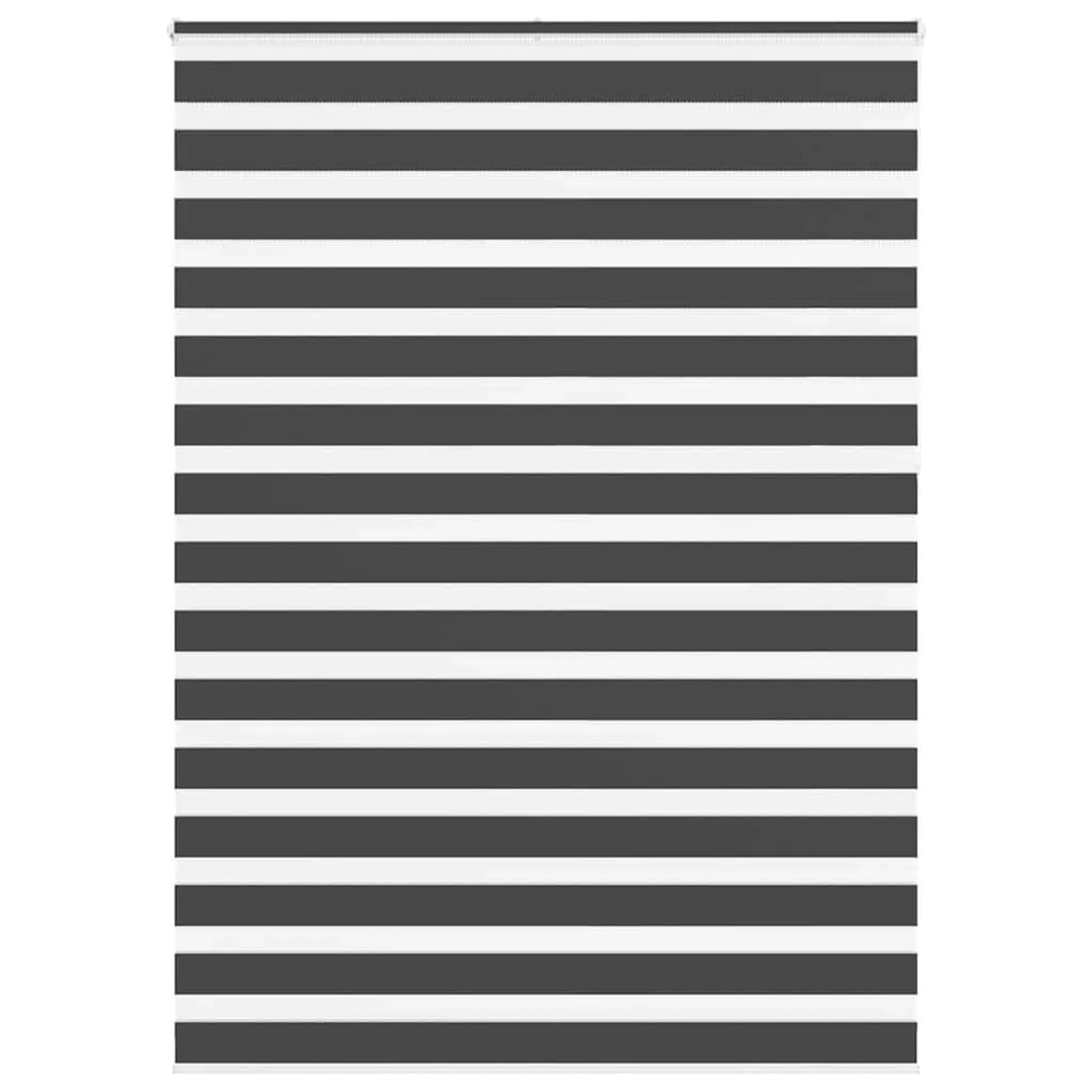 vidaXL Doppelrollo Schwarz 155x230 cm Stoffbreite 150,9 cm Polyester 4014298