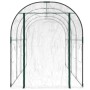 Transparentes furnicato Gewächshaus (160x400x190 cm) mit Stahlrahmen und PVC-Abdeckung.