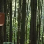 Braunes Wild Yard Fledermaushaus aus Zedernholz für bis zu 75 Fledermäuse am Baum.
