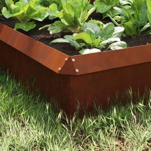 Rostfarbener vidaXL Schneckenzaun aus Wetterfeststahl im Gartenbeet, 8-teilig.