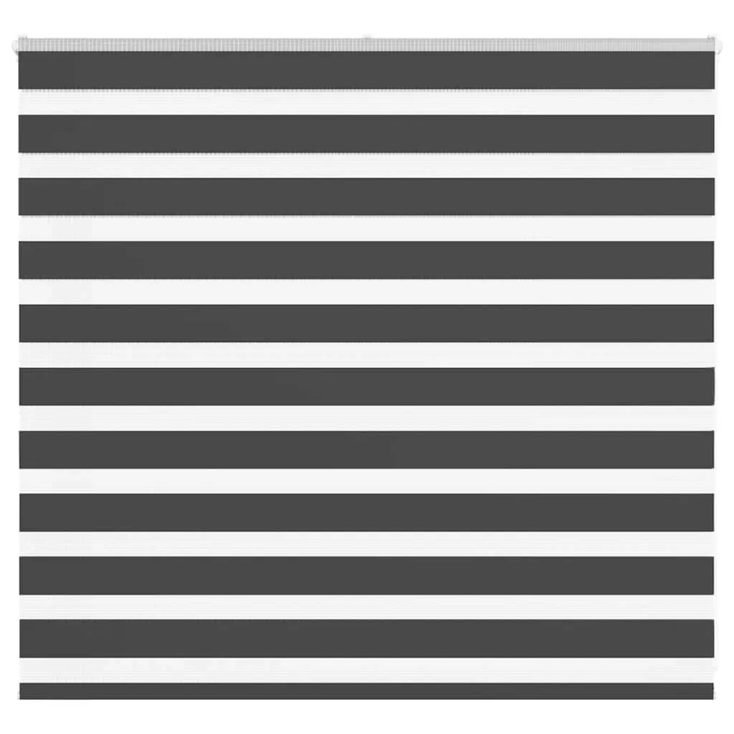 vidaXL Doppelrollo Schwarz 155x100 cm Stoffbreite 150,9 cm Polyester 401422 günstig online kaufen