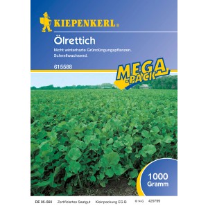 Kiepenkerl Oelrettich Samen zur Gründüngung im Mega-Pack