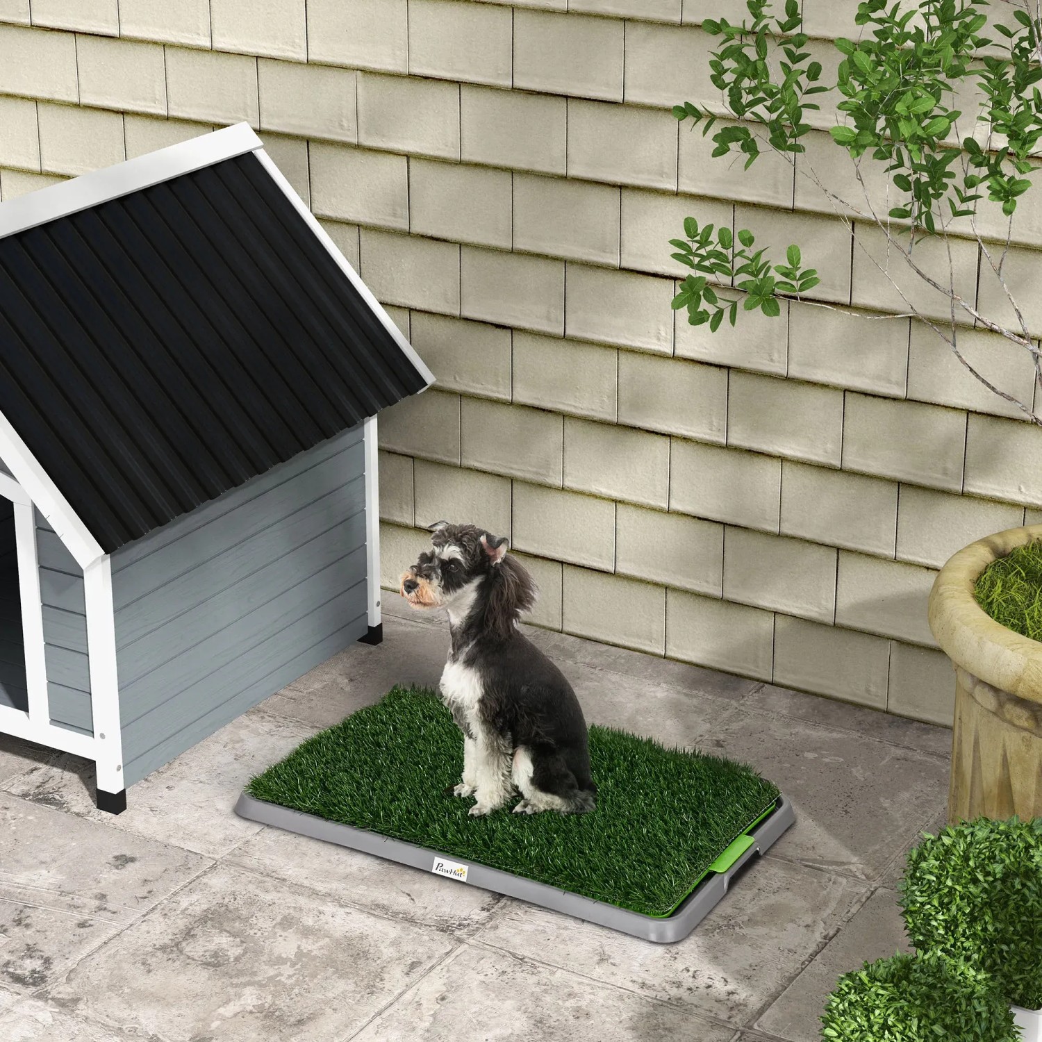 PawHut Hundetoilette mit Grasmatte und Hund sitzt darauf, ideal für Welpen-Training.