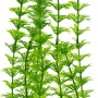 Tetra DecoArt Plant L Ambulia, grüne Kunstpflanze für Aquarien, ca. 30cm hoch.