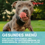 Supravit Hundenassfutter  aus Fisch und Lachs_4
