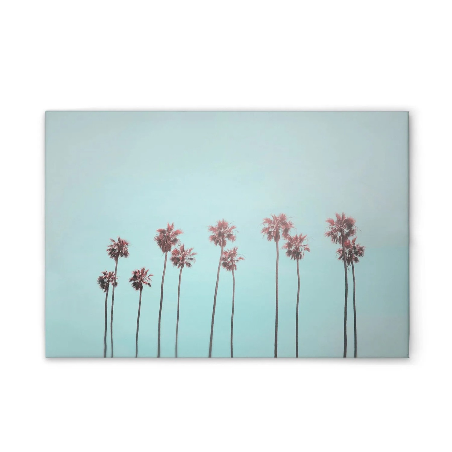 Tadessi Leinwandbild - M1-No.51066 - Palmen Zart Blau Rosa - 45 x 30 cm - Hochformat