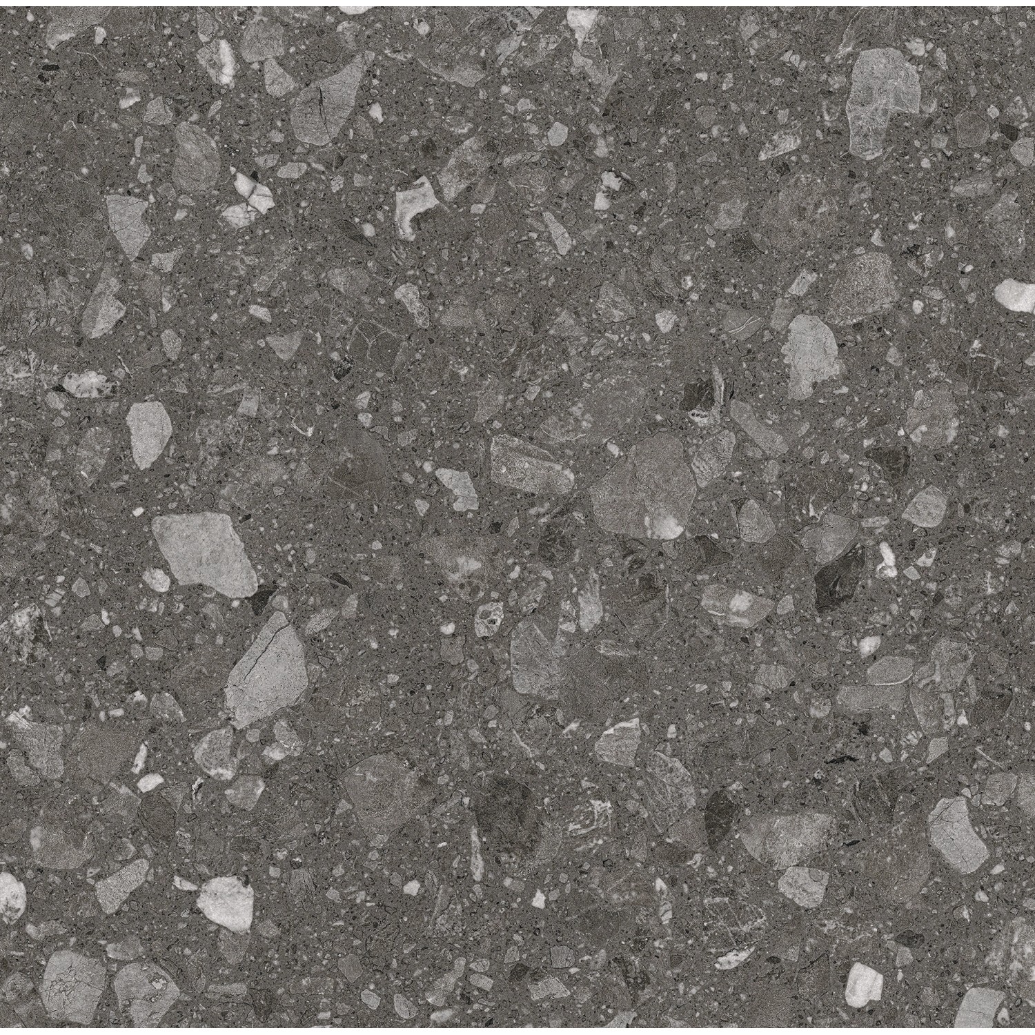 Anthrazitfarbene Feinsteinzeug Bodenfliese, 60x60 cm, mit matter Steinoptik für Innen- und Außenbereiche.