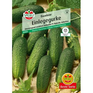 Sperli Einlegegurken Excelsior F1-Hybride Samenpackung mit grünen Gurken.