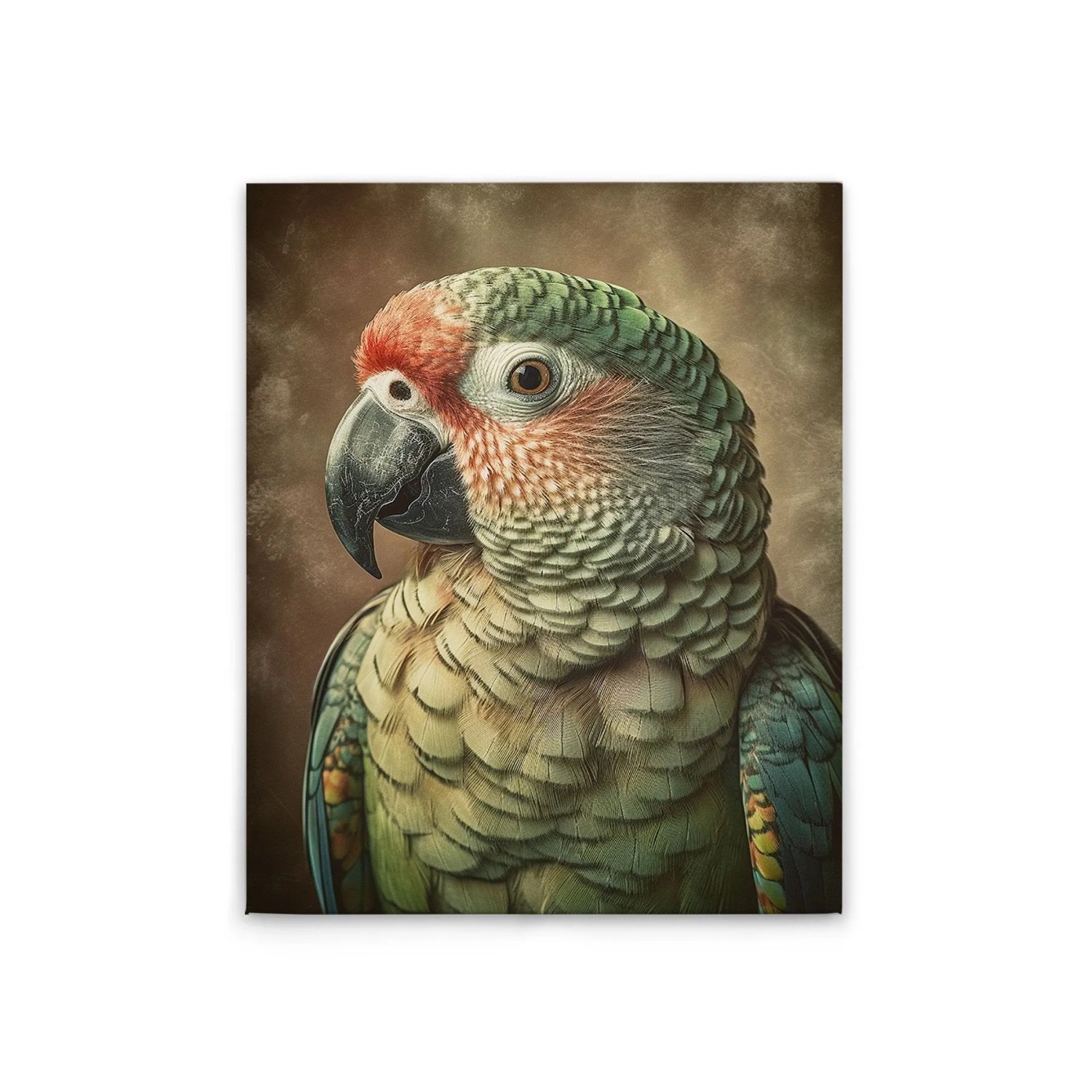 Tadessi Leinwandbild - M1-No.52249 - Papagei - 40 x 50 cm - Querformat