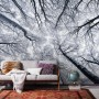 Komar Vlies Fototapete mit Baumkronen-Motiv, 400x250 cm. Natur Tapete für Wohn- und Schlafzimmer.