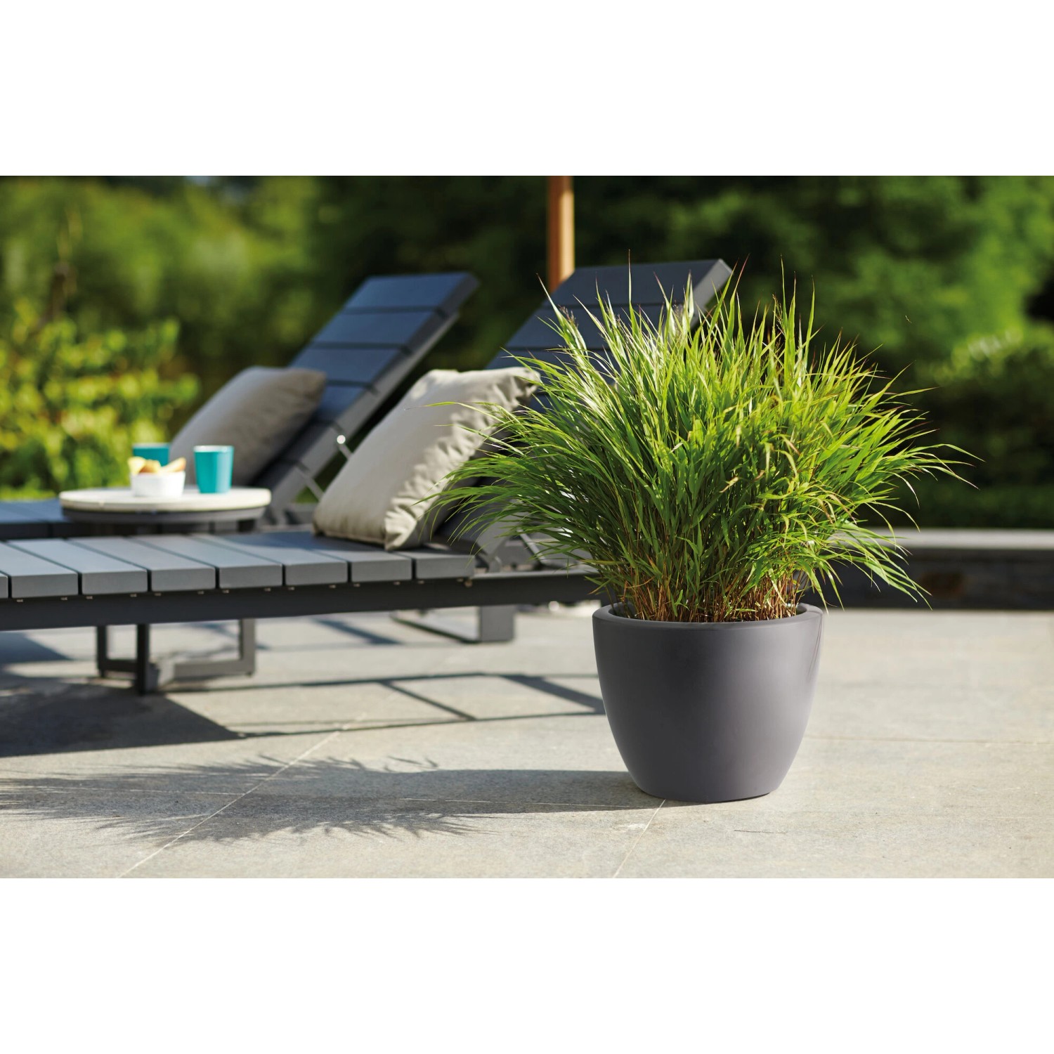 Elho Blumentopf Pure Soft mit Rollen Ø 59 cm Anthrazit kaufen bei OBI