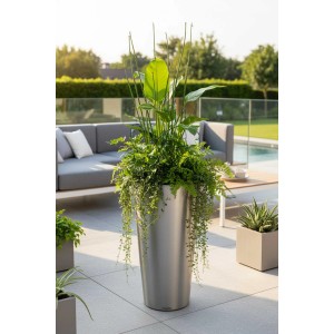 Vivanno Pflanzkübel Rondo, 70cm hoch, Edelstahl gebürstet, mit Bepflanzung im Garten.
