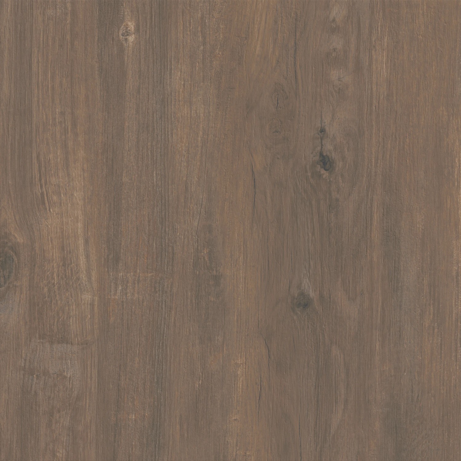 Cersanit Terrassenplatte Wood Moments hellbraun, Feinsteinzeug in Holzoptik, 59,3x59,3 cm.