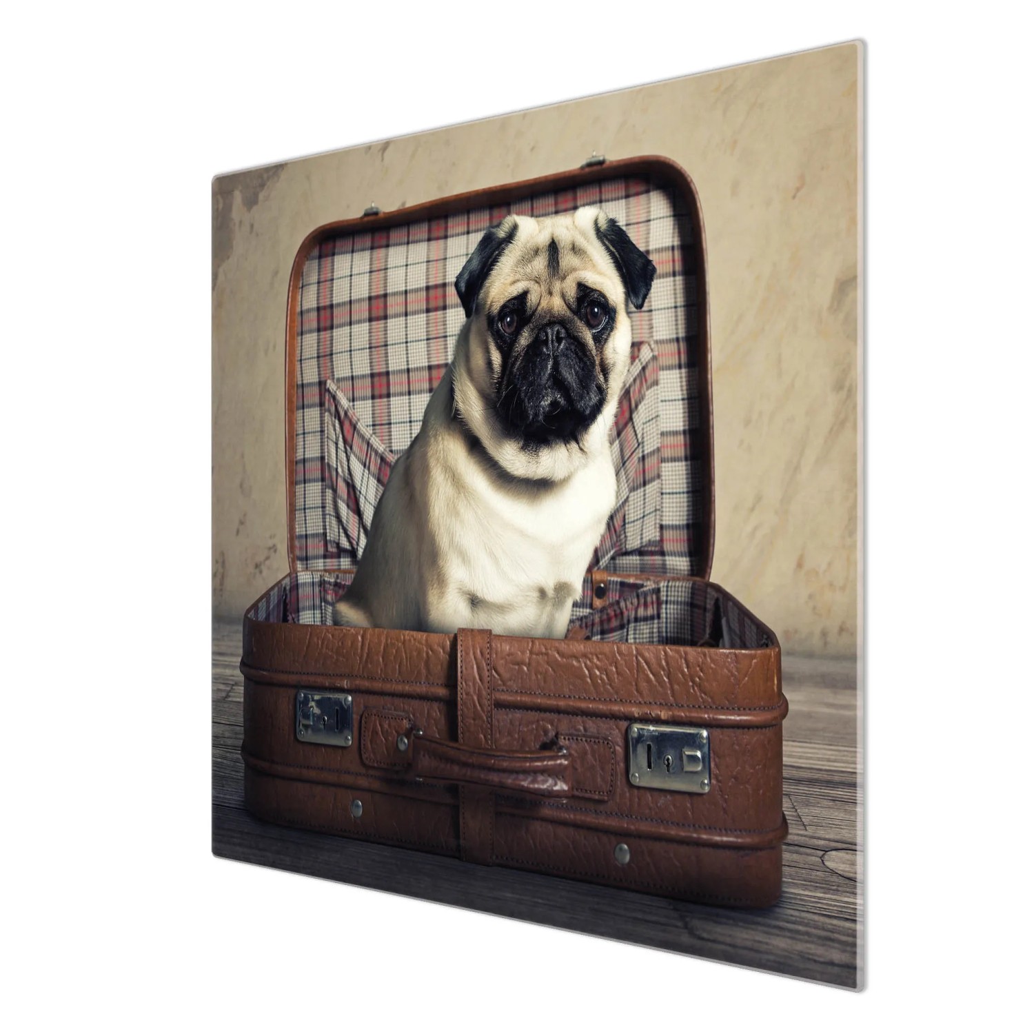 Banjado Herdabdeckplatte aus Glas mit Mops im Koffer Motiv, 60x52cm. Auch als Schneidebrett nutzbar.