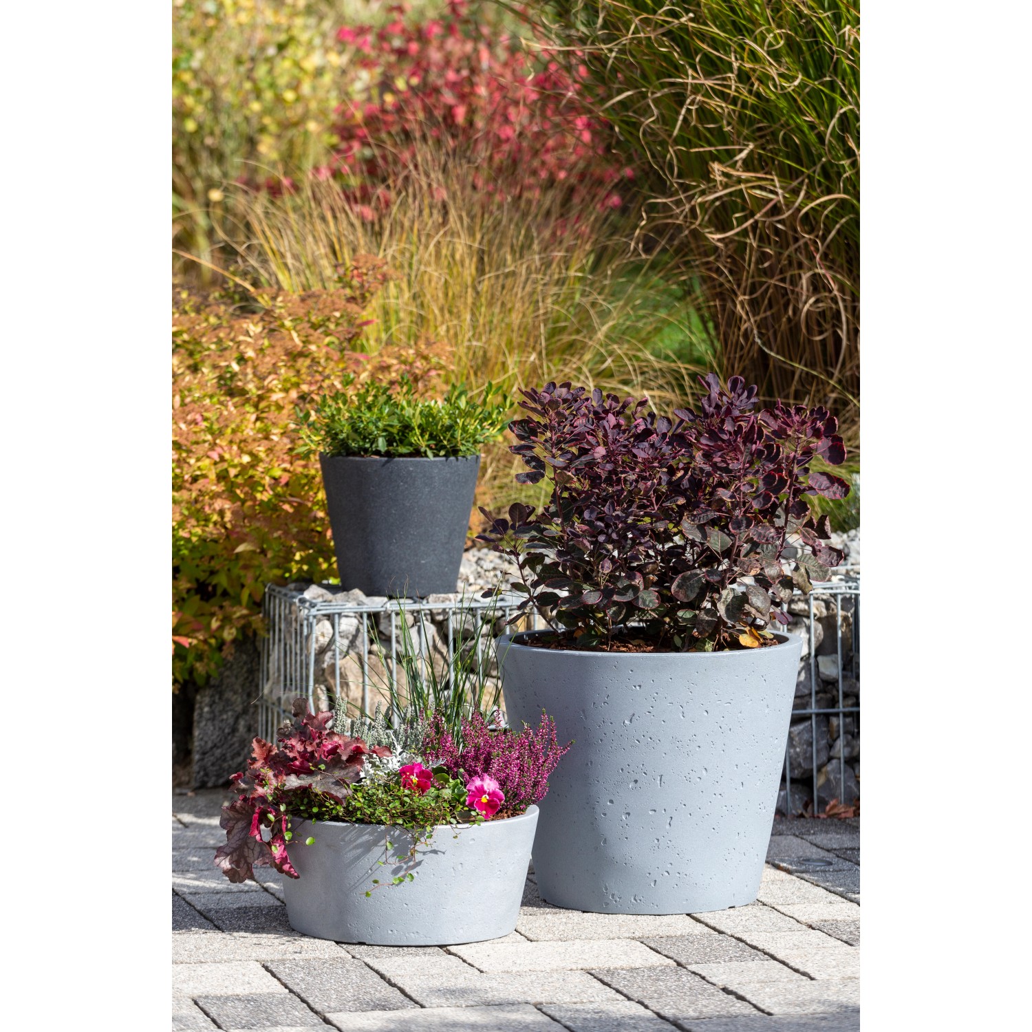 Scheurich C-Cone Pflanzgefäße in Stony Grey, verschiedene Größen und Bepflanzung im Garten.