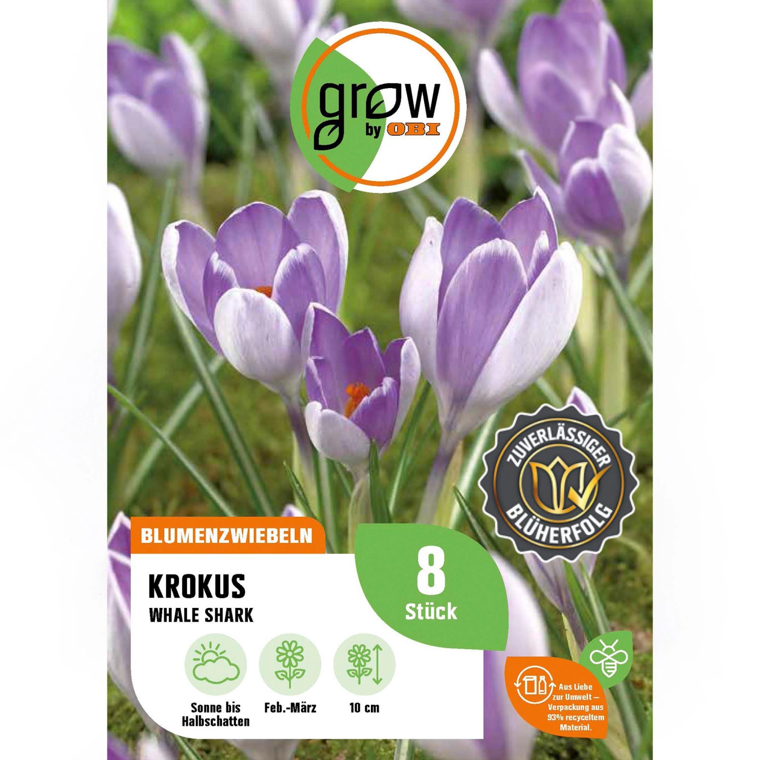 GROW by OBI Krokus Whale Shark Blau 8 Stück Krokus Botanische Whale Shark günstig online kaufen