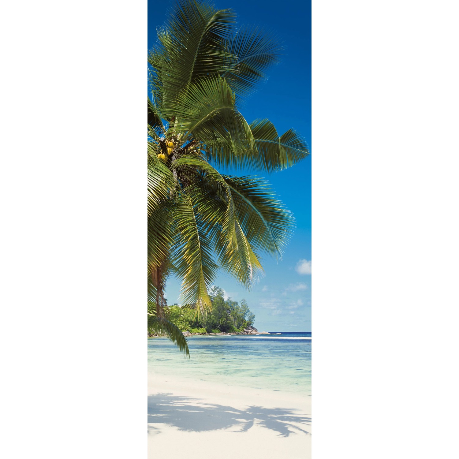 Komar Fototapete Coconut Bay B/L: ca. 100x280 cm günstig online kaufen